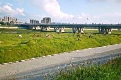 赤峰煦誠櫻桃酒店電話號碼