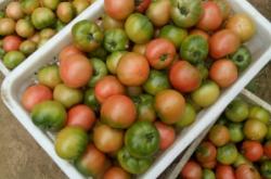 赤峰香火批發(fā)電話地址在哪里