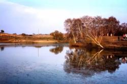 赤峰江南婉約酒店電話號碼多少