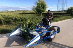 赤峰谷子草捆回收電話號(hào)碼