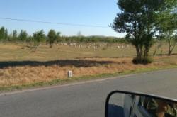 內(nèi)蒙古赤峰定額站電話號碼