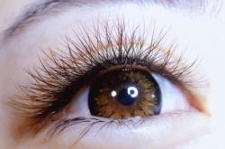 赤峰芳姐嫁接睫毛店電話號(hào)碼