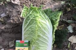 赤峰線(xiàn)上訂菜平臺(tái)電話(huà)號(hào)碼