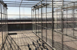 赤峰景觀休閑棚廠家電話號(hào)碼