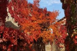 赤峰古楓美發(fā)電話地址查詢