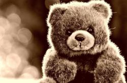 赤峰玩具熊實體店電話號碼