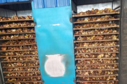 赤峰賣野蘑菇的電話地址是多少