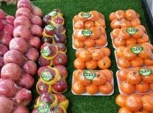 赤峰哈嘍水果店電話號(hào)碼