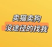 赤峰良心寵物店地址電話號碼