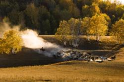 赤峰草原攝影網地址電話號碼