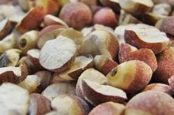 芡實(shí)加工廠聯(lián)系電話