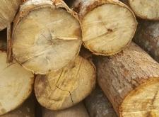 赤峰附近木材加工廠電話號碼