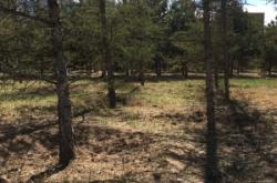 赤峰林西溜冰場(chǎng)電話號(hào)碼