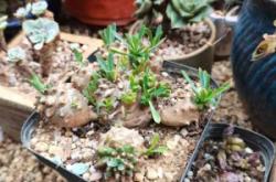 赤峰市大板花店電話號(hào)碼查詢