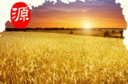 赤峰面粉銷售電話多少啊