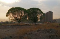 赤峰紅山區(qū)大橋社區(qū)電話號碼