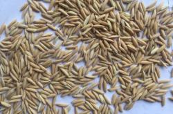 赤峰德陽齋糕點店地址電話號碼