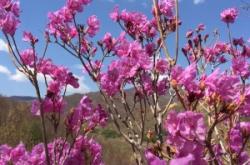 赤峰寧城縣婚紗租賃電話號(hào)碼