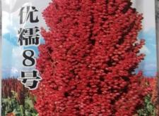 赤峰平莊酒水批發(fā)電話號(hào)碼