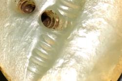 赤峰小玉工作室電話號(hào)碼