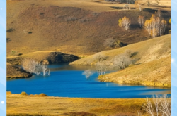 赤峰溜達(dá)大鵝電話多少號(hào)