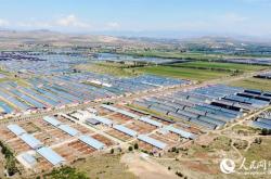 赤峰林西紋身店電話地址查詢