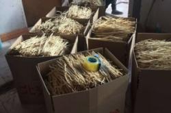 赤峰到電白區(qū)物流電話號(hào)碼