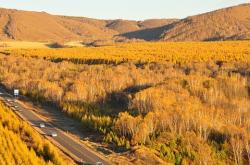 赤峰樺木溝林場(chǎng)