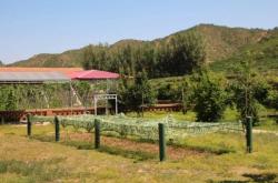 赤峰少兒試鏡中心電話地址查詢