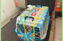 赤峰空運寵物托運電話多少號