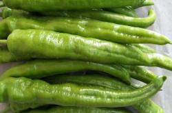 赤峰辣椒代辦公司電話號碼查詢