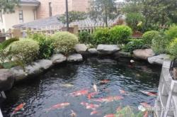 赤峰養(yǎng)魚(yú)池出租電話多少號(hào)