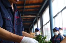 赤峰問道茶居電話多少啊