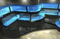 赤峰水族寵物店電話多少號(hào)