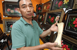 赤峰趙三骨頭館電話號碼查詢