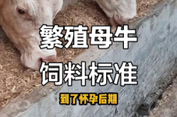 赤峰市母牛飼料廠電話號碼