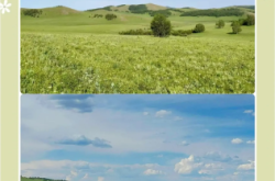 赤峰天旭太陽能客服電話號(hào)碼