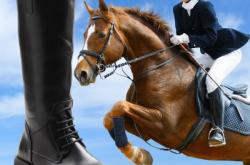 赤峰馬靴店鋪地址查詢電話號(hào)碼