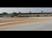 赤峰苞谷種子批發(fā)商電話號碼