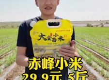 赤峰高檔小米手機(jī)店電話號(hào)碼