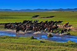 赤峰蒙中紋身店電話號碼多少