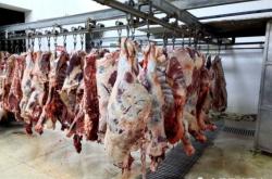 赤峰肉雞屠宰場(chǎng)電話號(hào)碼查詢