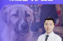 赤峰市破傷風疫苗電話查詢號碼