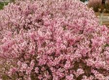 赤峰盛祥水貂店電話號(hào)碼查詢