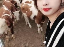 赤峰軍威養(yǎng)牛場電話號碼查詢