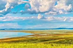 赤峰景麗臺球廳地址電話號碼