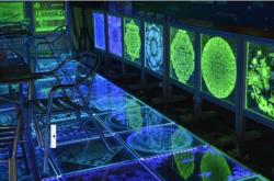 赤峰激光內(nèi)雕機(jī)廠家電話號碼