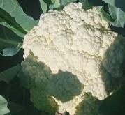 赤峰東仙超市電話號碼多少