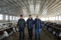 赤峰羊養(yǎng)殖廠家電話地址查詢