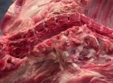 赤峰有賣肉鉤魚的嗎電話號碼